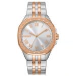 DKNY Brooklyn Maxi Women’s Watch DK1L011M0085