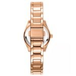 DKNY Chambers Glitz Women’s Watch DK1L017M0065