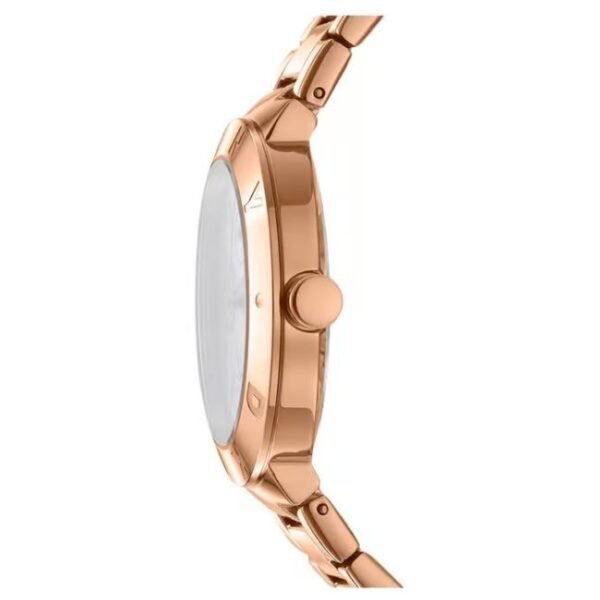 DKNY Eastside Maxi Women’s Watch DK1L022M0045