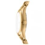 DKNY Astoria Logo Women’s Watch DK1L033M0065