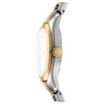 DKNY Astoria Logo Women’s Watch DK1L033M0085