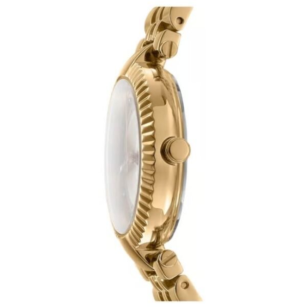 DKNY Essential Glitz Women’s Watch DK1L042M0055