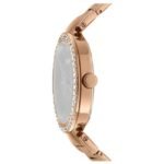 DKNY Downtown Glitz Women’s Watch DK1L044M0065