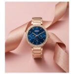 DKNY Downtown Glitz Women’s Watch DK1L044M0065