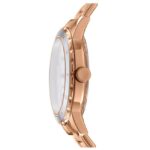 DKNY Park Ave Women’s Watch DK1L054M0065
