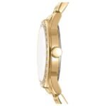 DKNY Parsons Women’s Watch DK1L059M0055