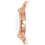 DKNY Parsons Women’s Watch DK1L059M0065