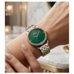 DKNY Astoria Women’s Watch DK1L065M0075