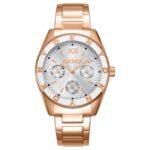 DKNY Chambers Women’s Watch DK1L073M0045