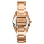 DKNY Chambers Women’s Watch DK1L073M0045
