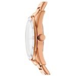 DKNY Chambers Women’s Watch DK1L073M0045