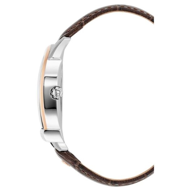 Aigner Siena 40 MM Dial Stainless Steel Watch for Men - AIAGW244005W