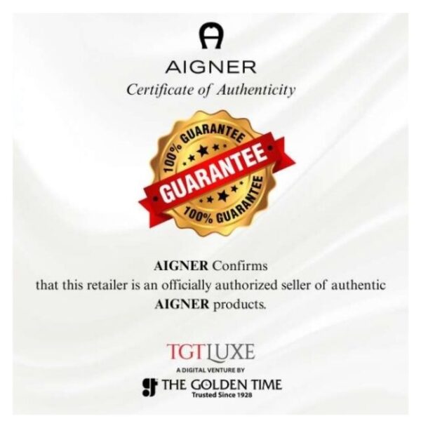 Aigner Siena 40 MM Dial Stainless Steel Watch for Men - AIAGW244005W