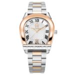 Aigner Siena 40 MM Dial Stainless Steel Watch for Men - AIAGW244008W