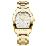 Aigner Verona Due 39 MM Dial Stainless Steel Watch for Men - AIAGW260005W