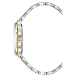 Aigner Fermo 32 MM Dial Stainless Steel Watch for Men - AIAGW266003W