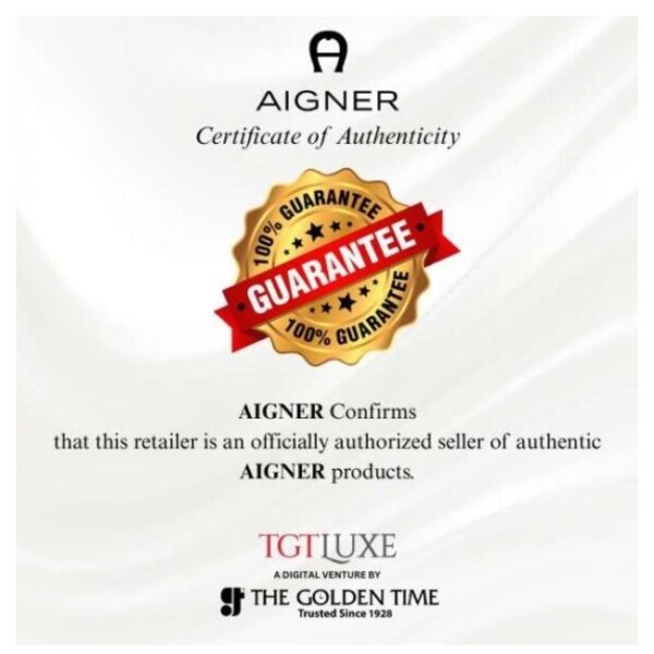 Aigner Fermo 32 MM Dial Stainless Steel Watch for Men - AIAGW266003W